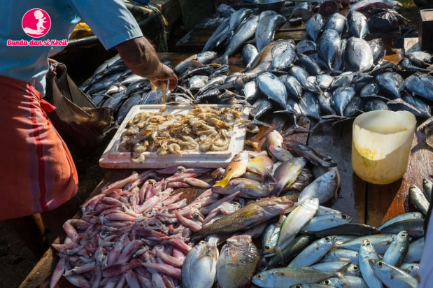 15 Jenis Ikan Lokal Pengganti Salmon yang Kaya Nutrisi untuk MPASI Si Kecil